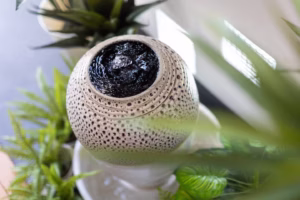 a2e28d54-e019-44b7-b1ca-d8d4771a8c30